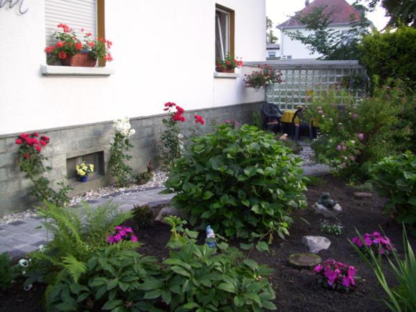Hotel Pension Wiesenau Salzhausen المظهر الخارجي الصورة