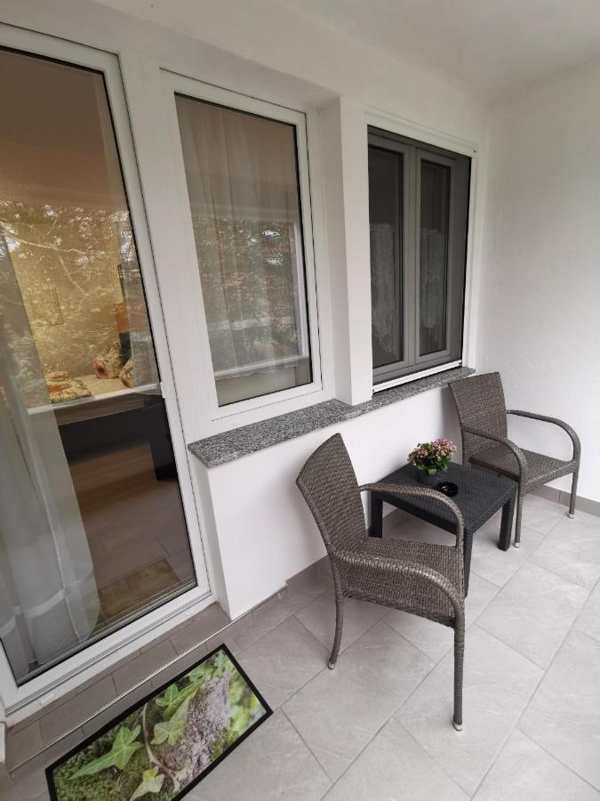 Hotel Pension Wiesenau Salzhausen المظهر الخارجي الصورة